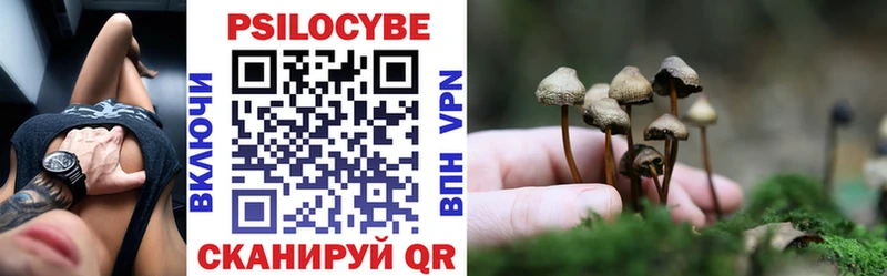 Псилоцибиновые грибы мицелий  закладки  Остров 