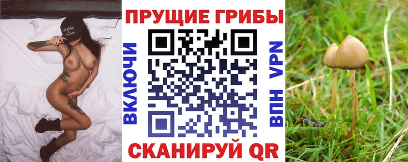 Галлюциногенные грибы Cubensis Остров